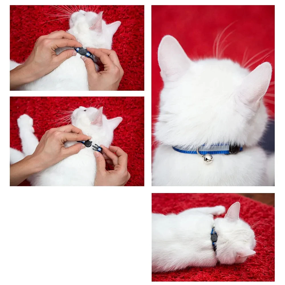 Paoripets New Colors Reflective Breakaway Cat Collar Neck Ring Necklace Bell Pet Products Safety Elastic Adjustable With Soft Material 1PC