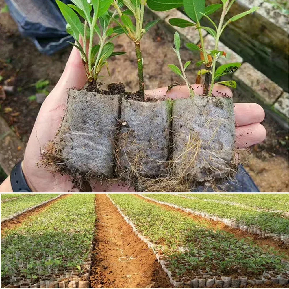 Desy & Feeci Biodegradable Nursery Bag Plant Grow Bags Non-woven Fabric Seeds To Sow Flower Pots For Home Garden Accessories Tools