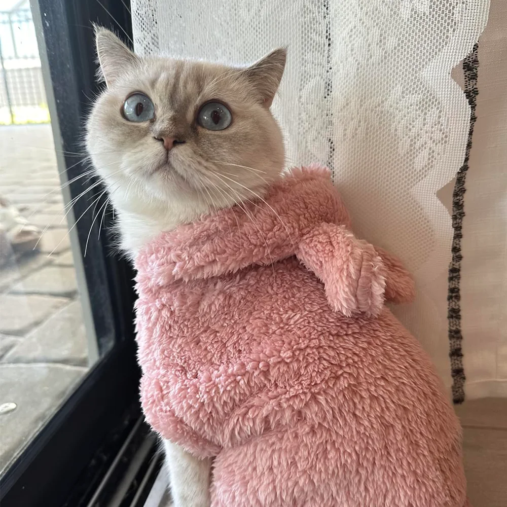 Popawland Fleece Warm Cat Costume For Winter Autumn Cute Soft Cats Clothes For Small Medium Dog Kitty Kitten Sweater Funny Pet Coat pet clothing
