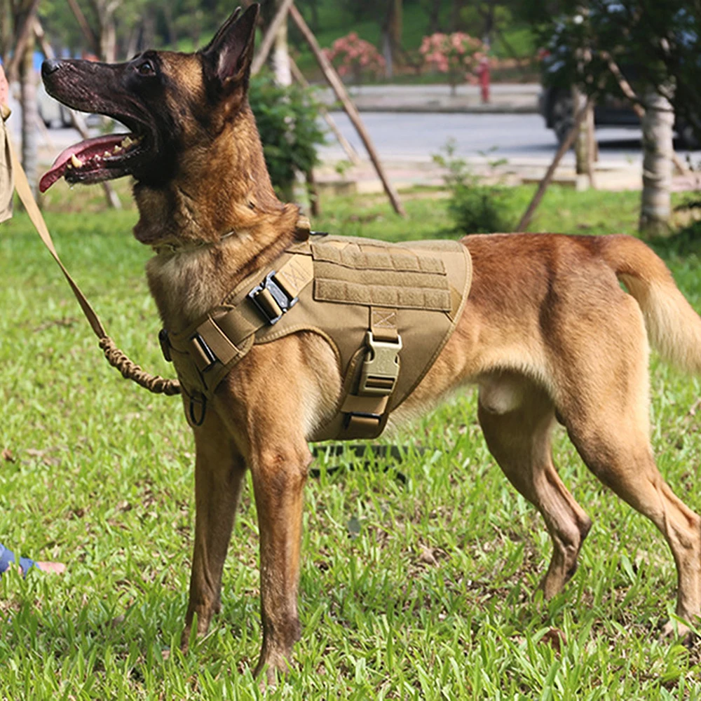 Pezluxe Large Dog Harness Pet German Shepherd Training Walking Vest Dog Harness And Collar For Medium Large Dogs